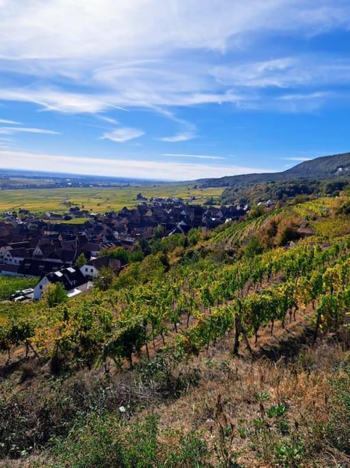Entre Vignes Et Vergers Gite Parenthese 吉博斯韦尔 外观 照片